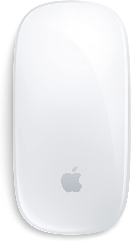 work from home essentials magic mouse